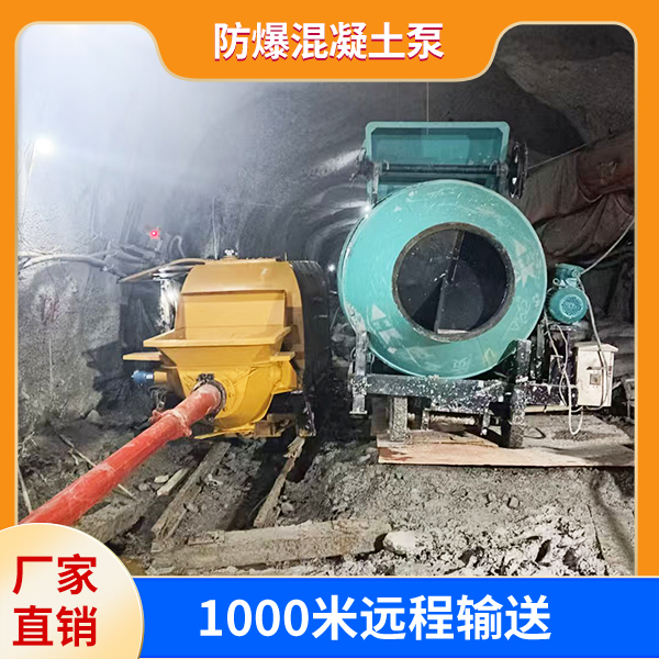 防爆混凝土泵.jpg